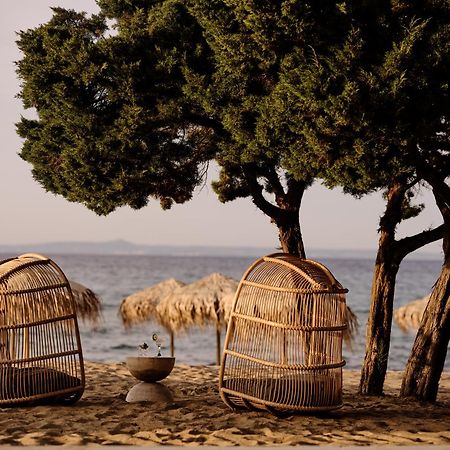 Cove Paros Hotel Naousa  Luaran gambar